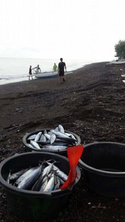 Alur Beach Homestay آميدْ المظهر الخارجي الصورة
