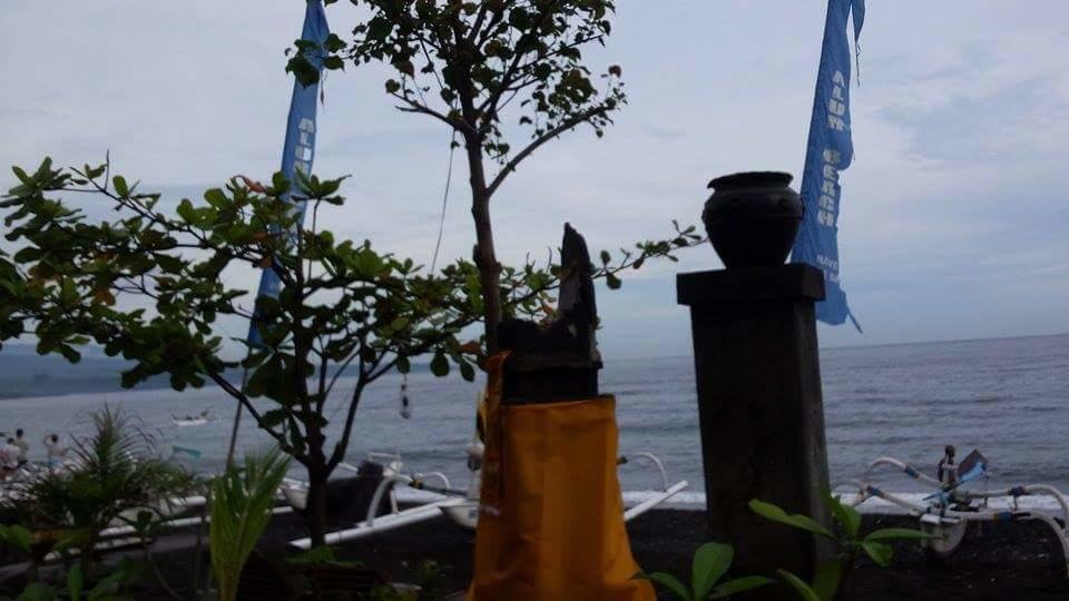 Alur Beach Homestay آميدْ المظهر الخارجي الصورة