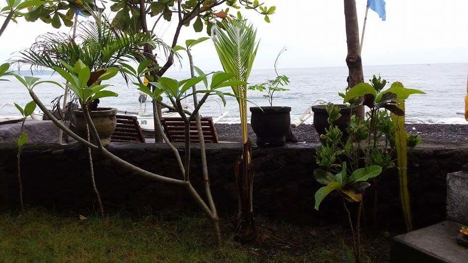 Alur Beach Homestay آميدْ المظهر الخارجي الصورة